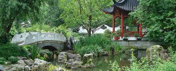 Chinese Garden