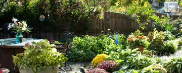 A Garden Celebration