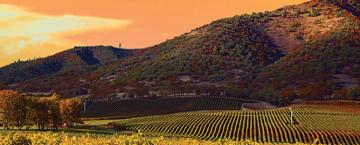 Living the Good Life on Top of the World