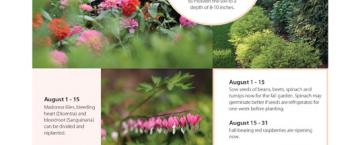 Shaw's Vision: August 2018