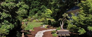 A Garden of Possibilities