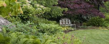 A Garden Gamble