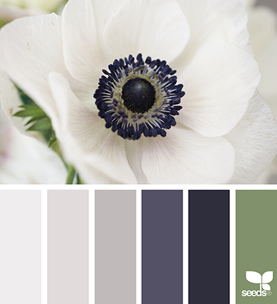 Friday Favorites: Chic Color Palettes 