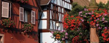 A Radical Culinary Match Made in the Alsace