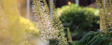 Connect: August 2018