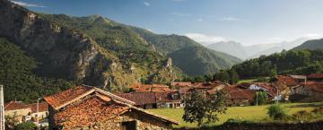 Summer Whites from Red Wine Country