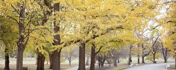 St. Louis County Parks 